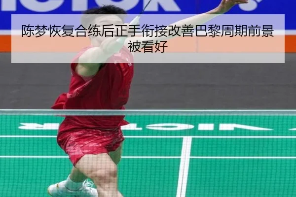 陈梦恢复合练后正手衔接改善巴黎周期前景被看好